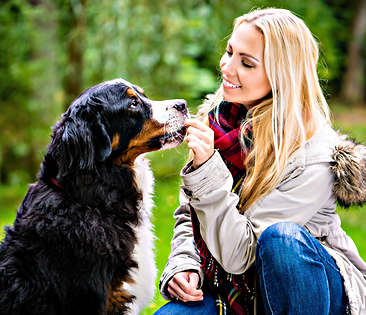 Tierhalter-Haftpflicht – Frau gibt Hund ein Leckerli